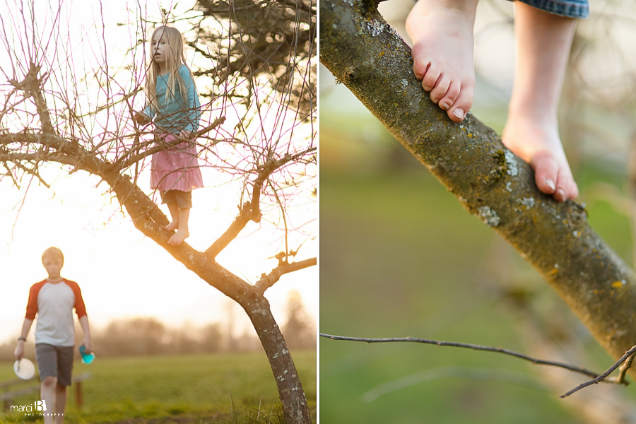 Corvallis Children's Photography - climbing a tree