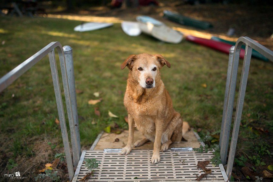 Corvallis Photography - dog - lake