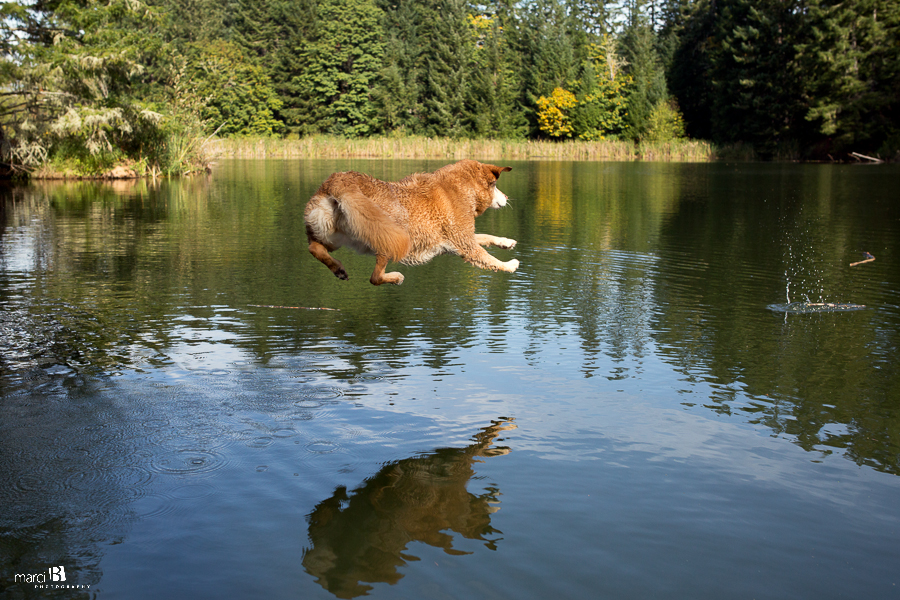 Corvallis Photography - paddleboarding - family