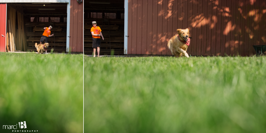 Boy and his dog