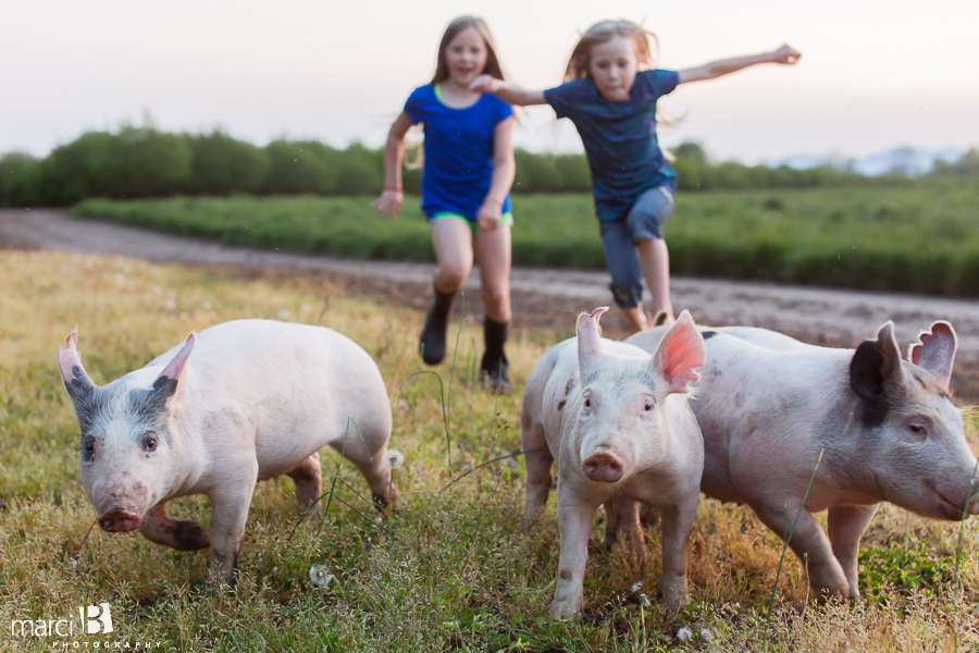 Girls and pigs - 4H life