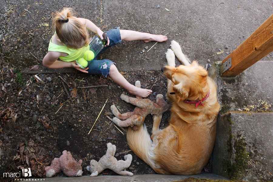 Lifestyle photography - dog and stuffed animals