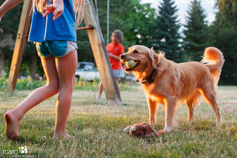 family photography - dog - kids