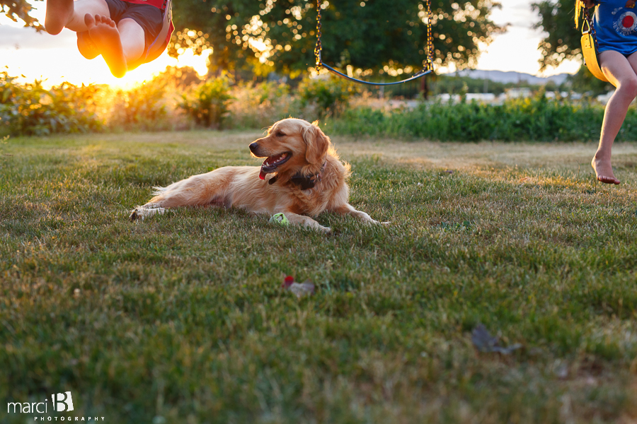 family photography - dog - kids