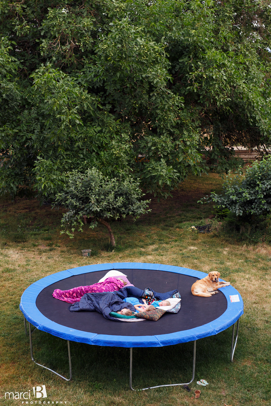 summer photos - trampoline