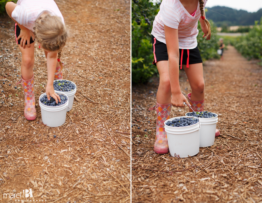 Lifestyle photographer - blueberry picking - girl