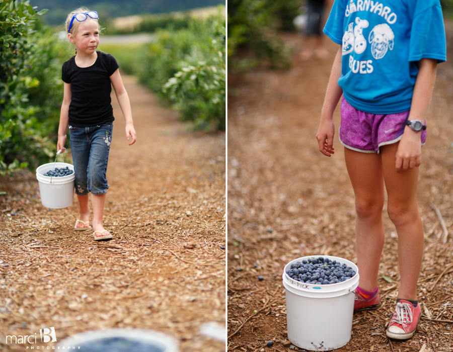 Lifestyle photographer - blueberry picking - girl