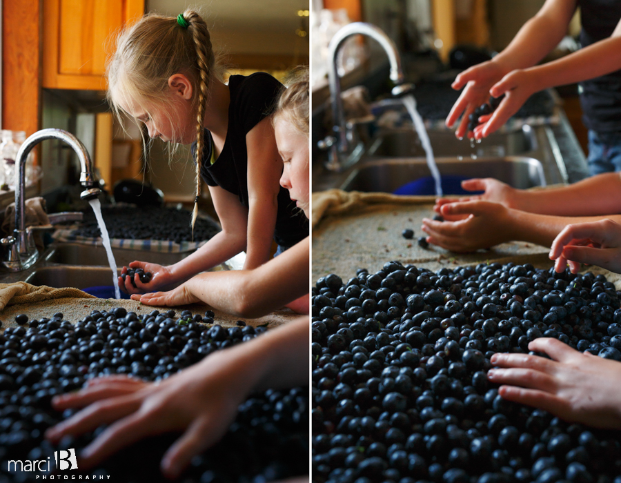 Lifestyle photographer - blueberry picking - girl