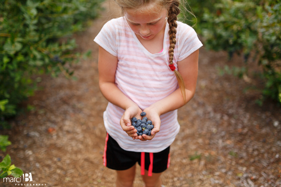 Lifestyle photographer - blueberry picking - girl