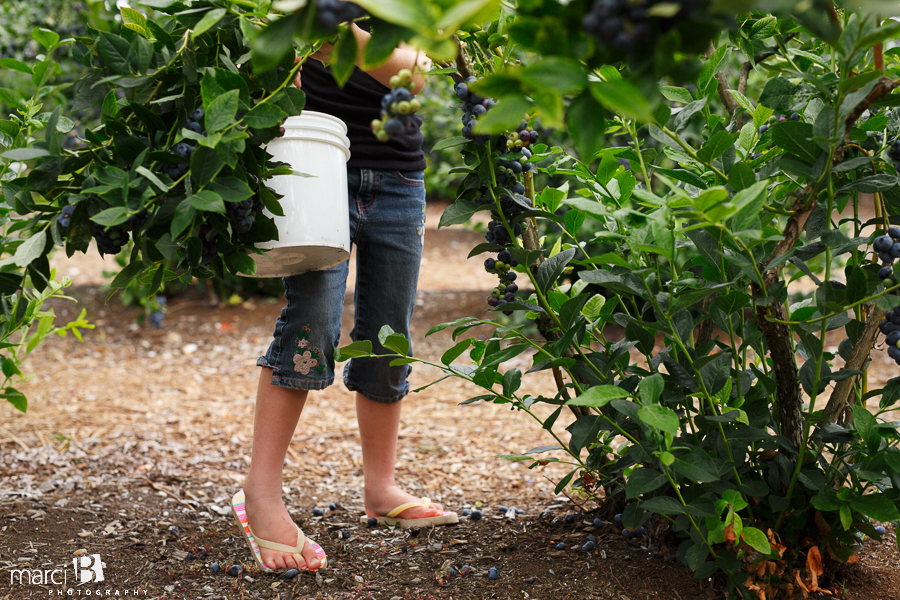 Lifestyle photographer - blueberry picking - girl