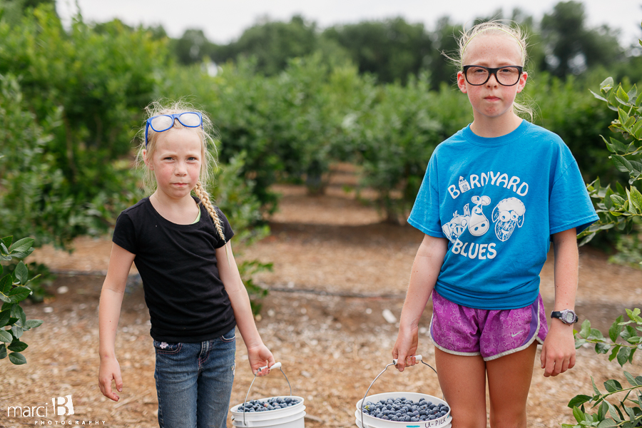 Lifestyle photographer - blueberry picking - girl