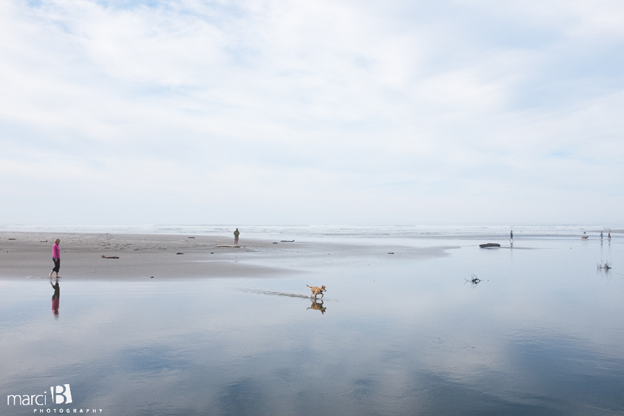 Oregon coast - kids at the beach - dog at the beach