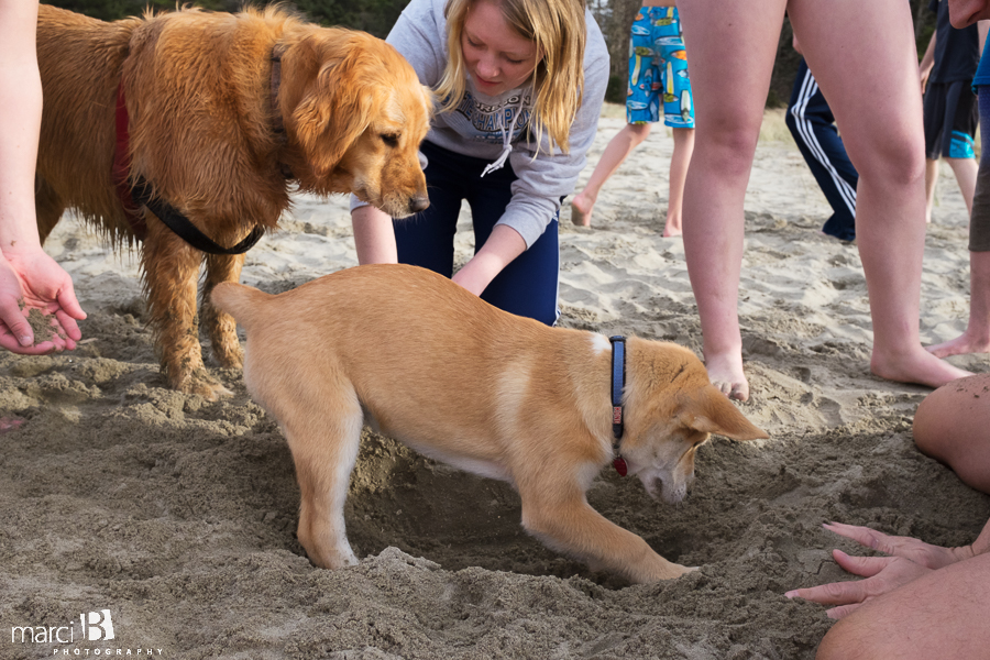 Oregon coast - kids at the beach - puppy digging