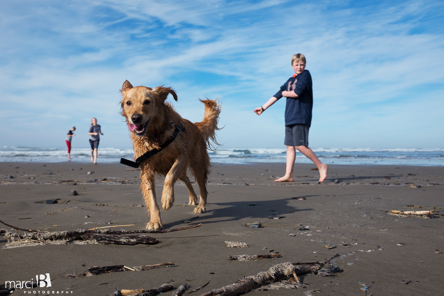 Oregon coast - kids at the beach - dog on the beach