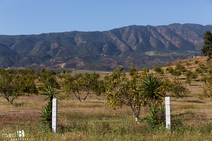 Baja family road trip