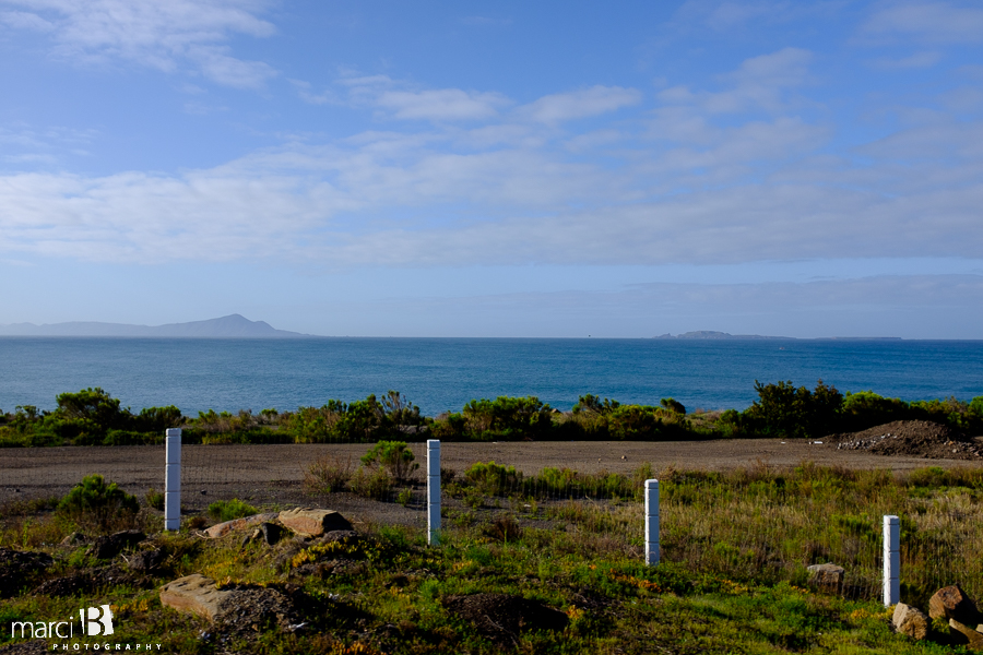 Pacific Ocean - Mexico - concrete fence posts