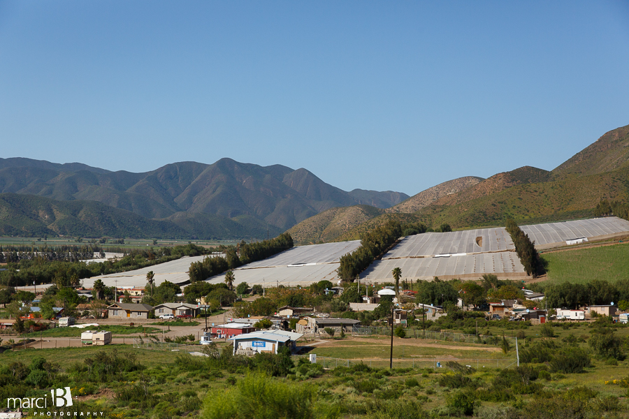 Greenhouses in Mexico