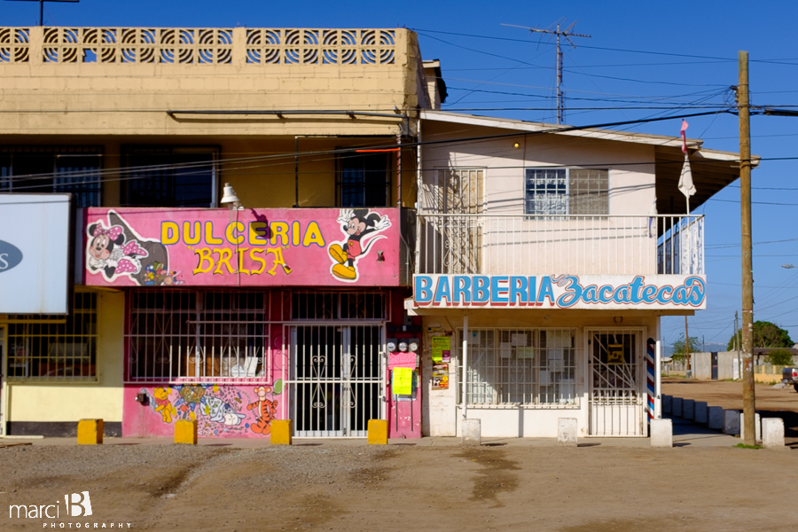 Baja family road trip - fresh oranges