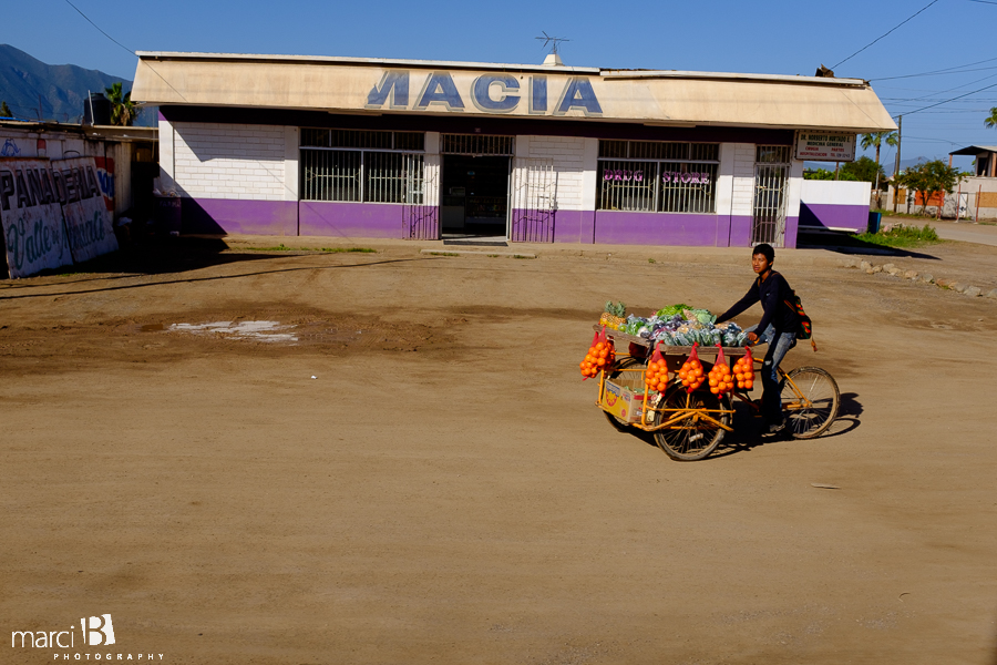 Baja family road trip - fresh oranges