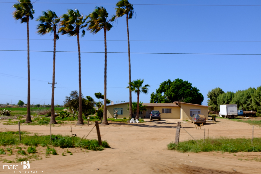 Baja family road trip