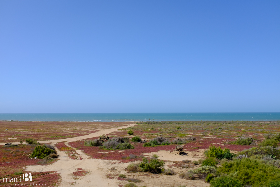 Baja family road trip - Pacific Ocean