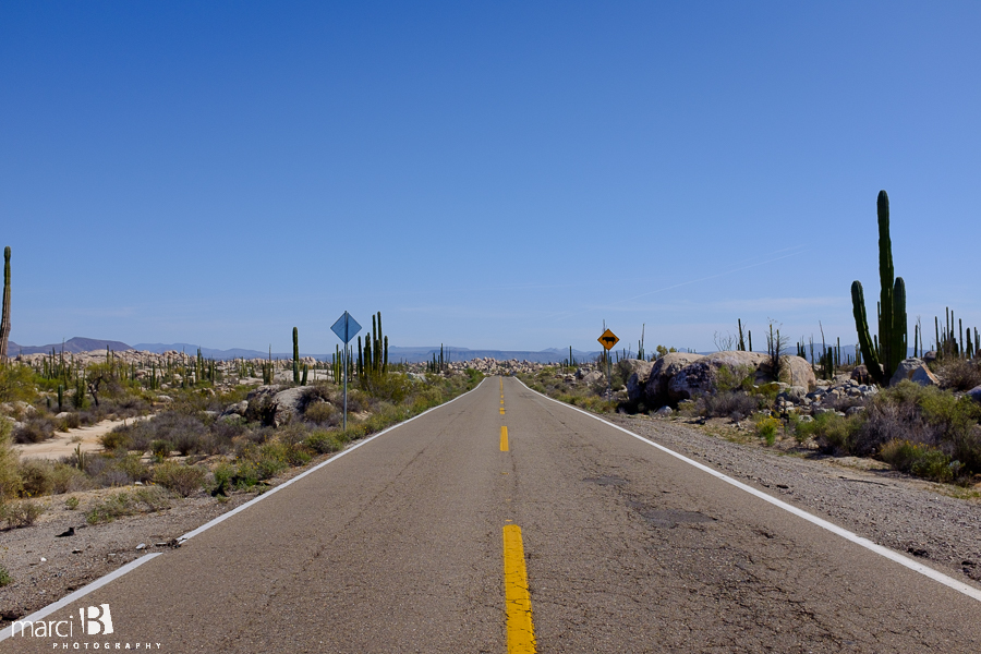 Baja family road trip