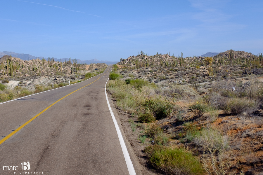 Baja family road trip