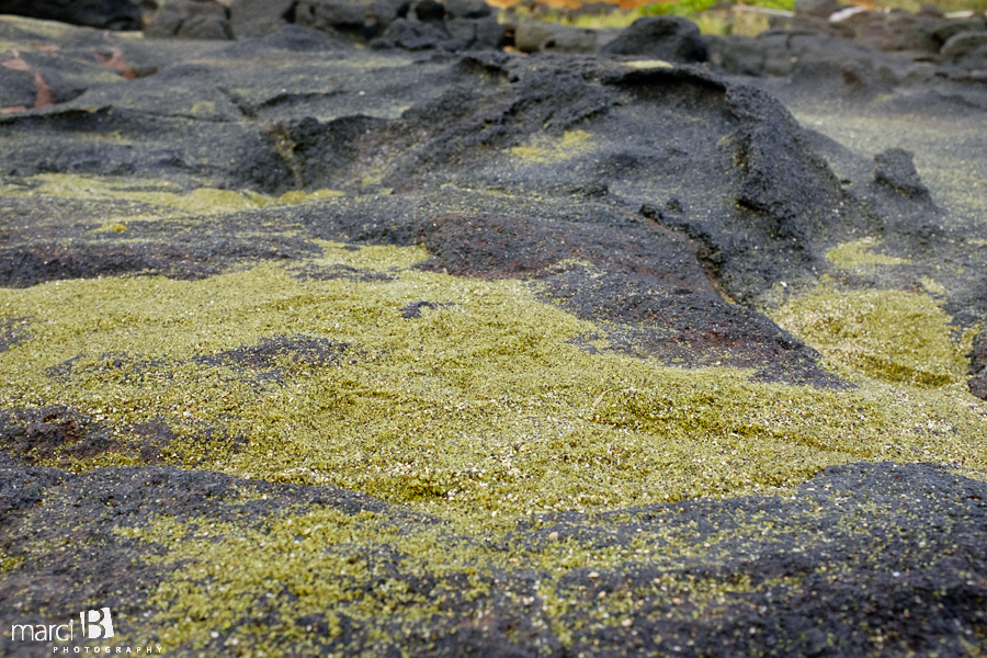 Hawaii - Green Sands - photography